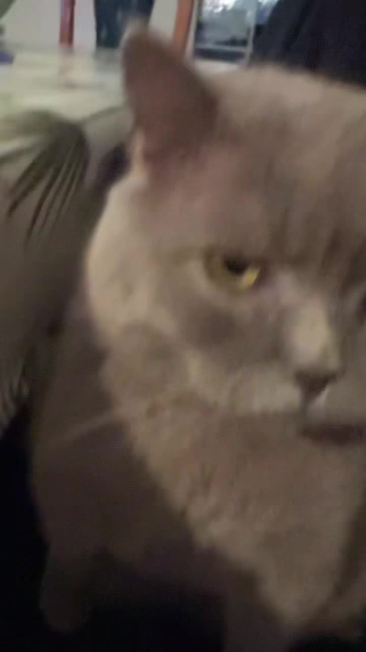 @𝔼𝕤𝕤𝕒