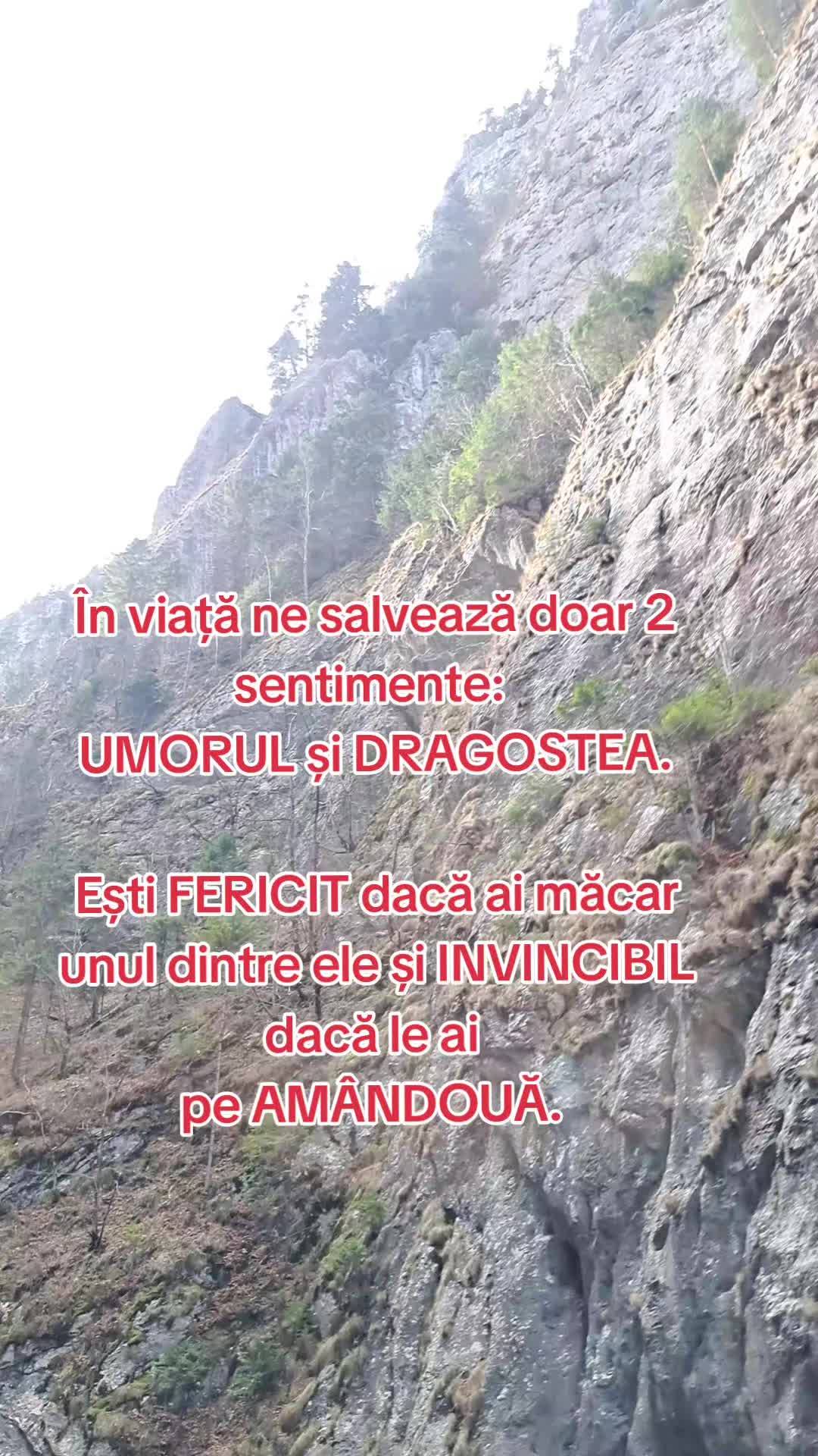 @Mihaela Flory