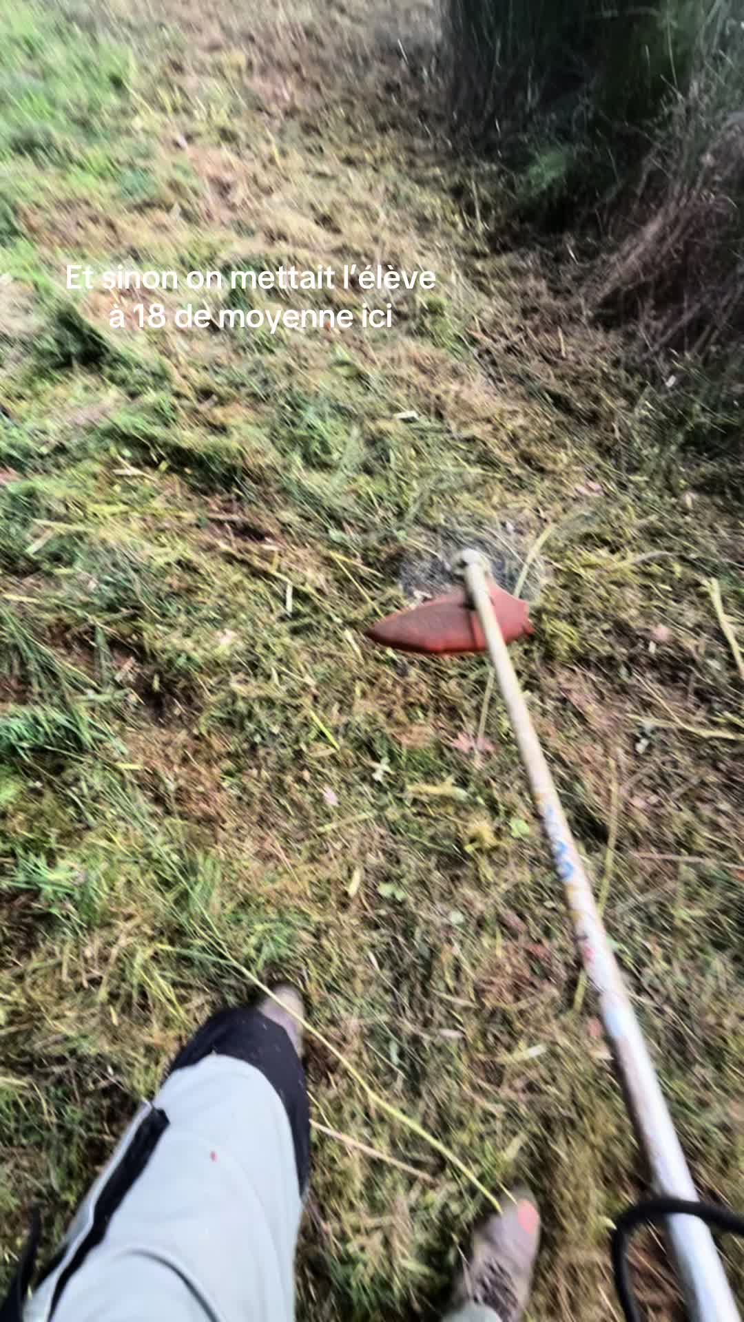 @co🇫🇷🇫🇷