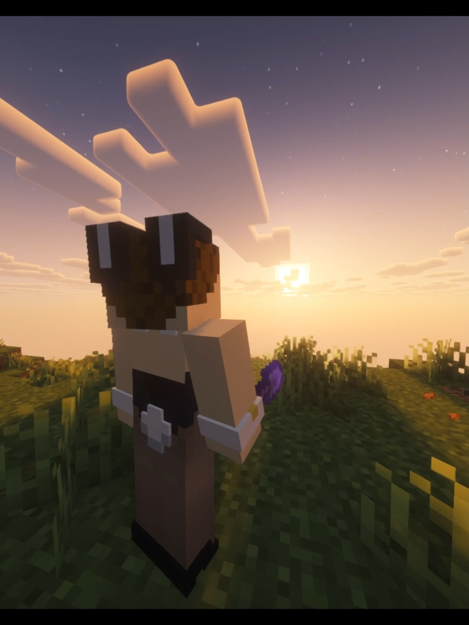 @Barder1080YT