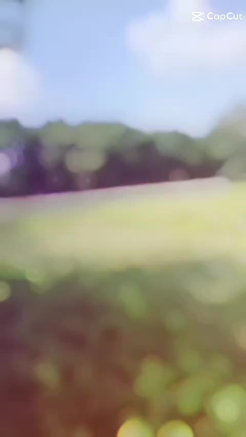 @Riya💫♥️
