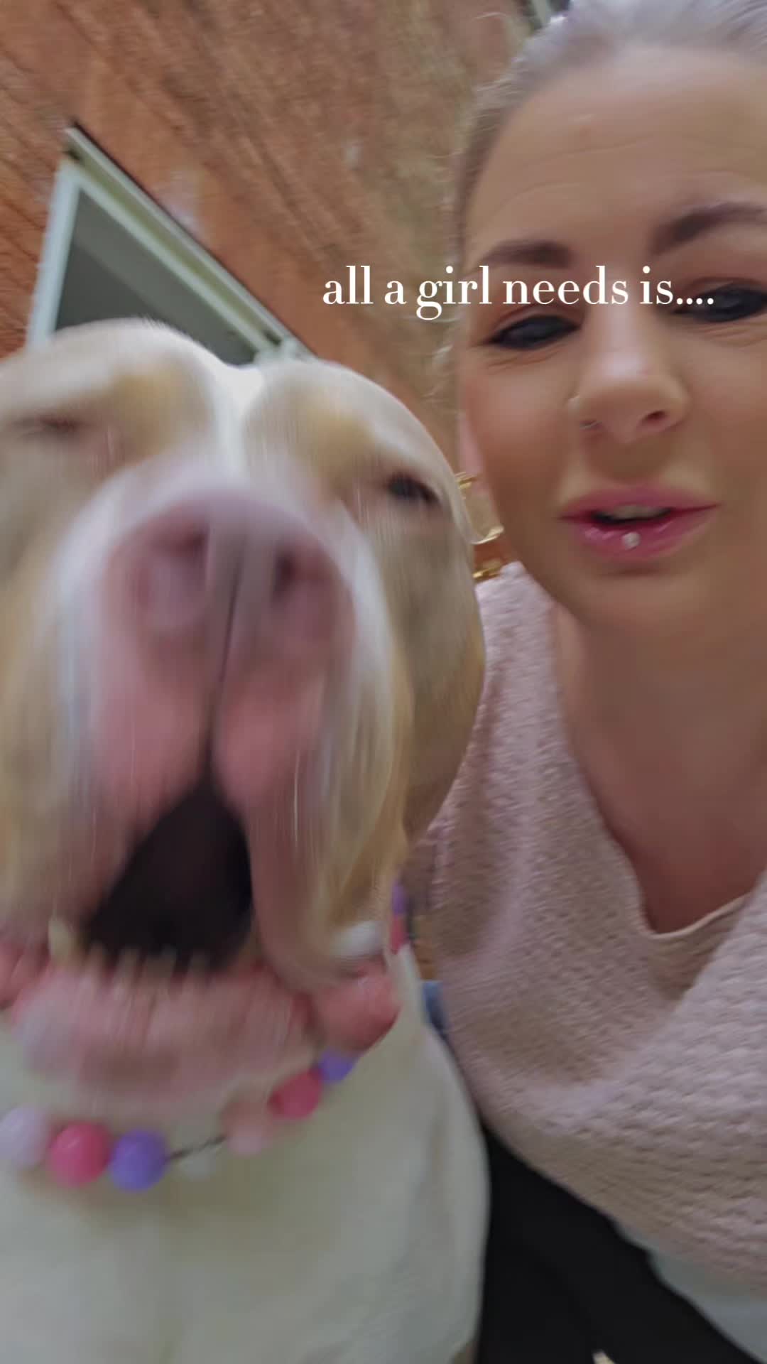 @mybullysandme🐶🇬🇧 (kelly)