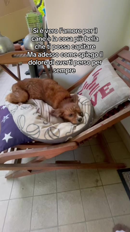 @giorgiadrusian