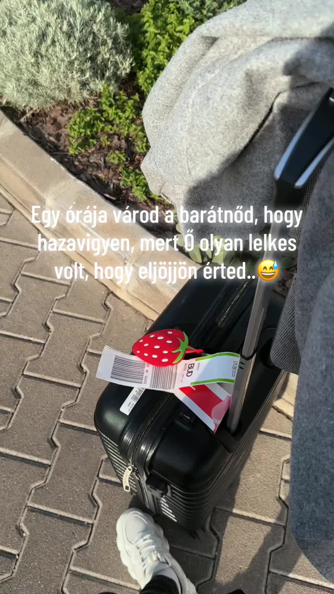 @HelloVegán🌱