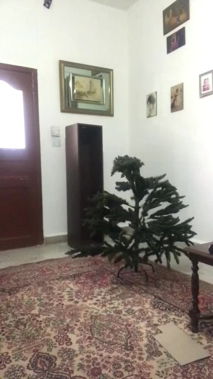 @ⒿⒾⒽⒶⓃⒺ