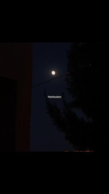 @Ꮶ𝚒𝚢𝚖𝚎𝚝.