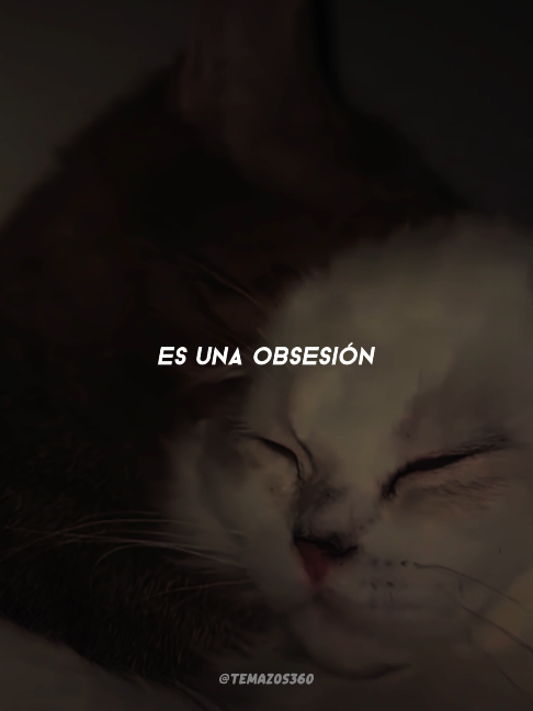 @𝙏𝙚𝙢𝙖𝙯𝙤𝙨 𝟯𝟲𝟬
