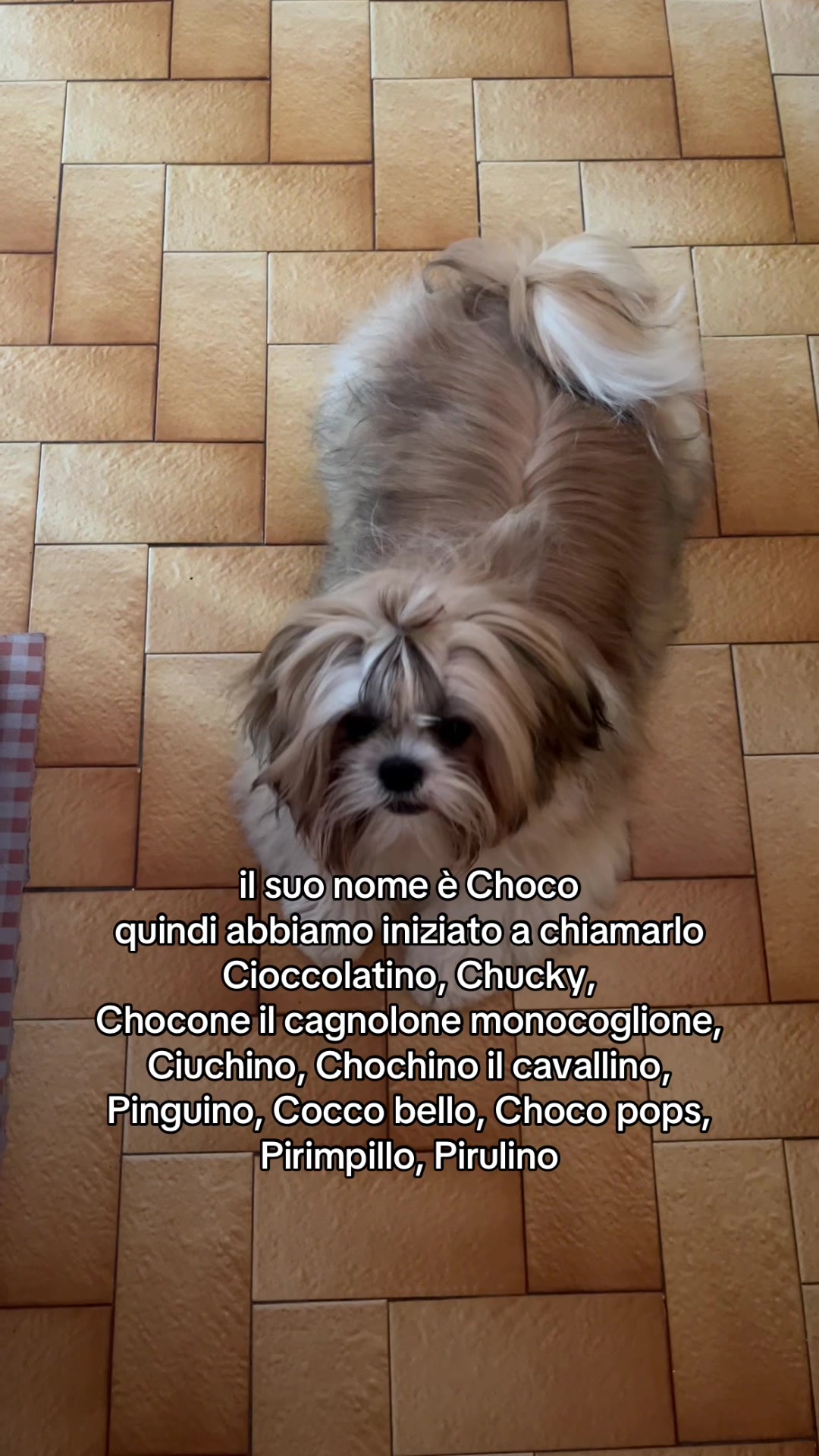 @deboracaramma