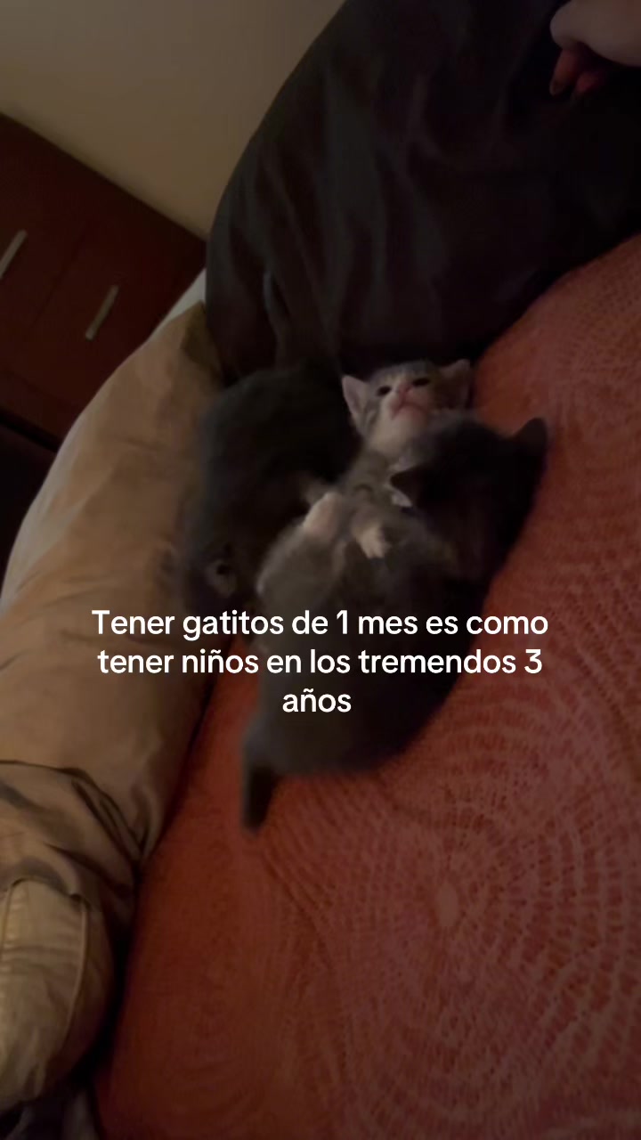 @Anna García