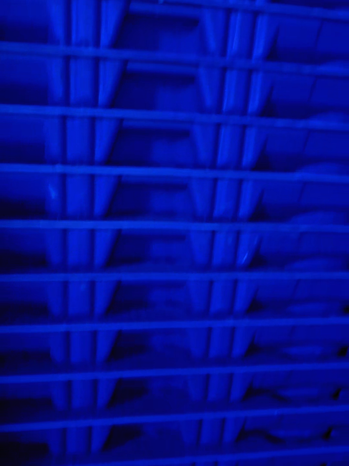 @Lopez International