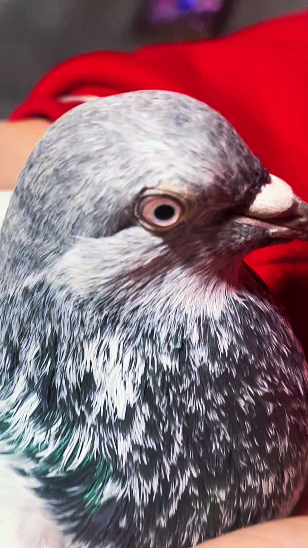@MalaNgNi (ملنگیی) ..☝️🔥🥷🦅