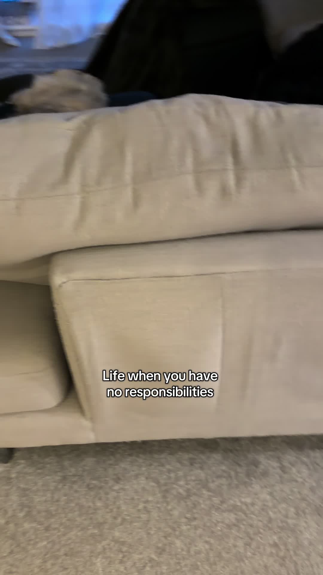 @ShadyJ