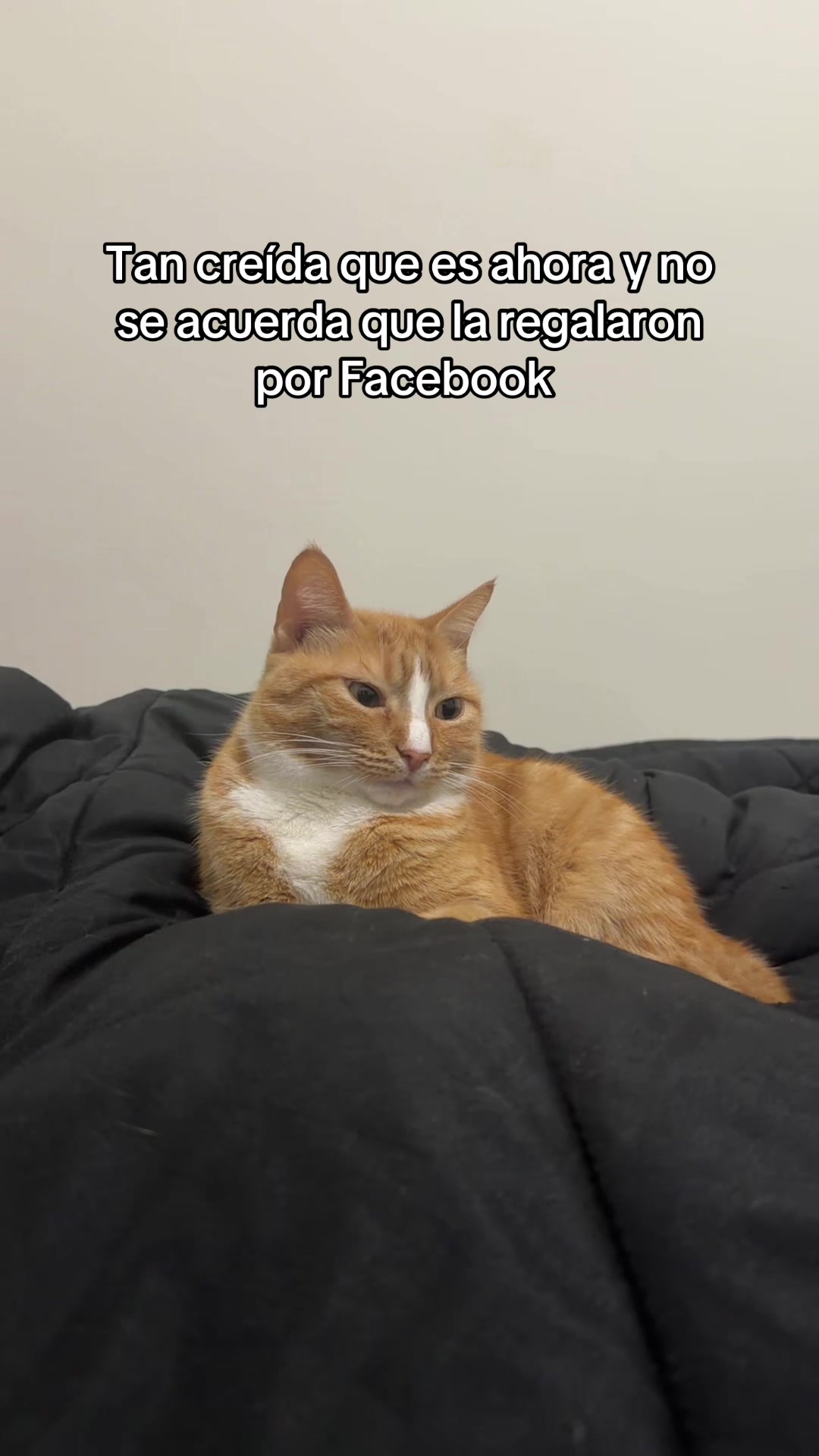 @Gerardo Arellano 😼