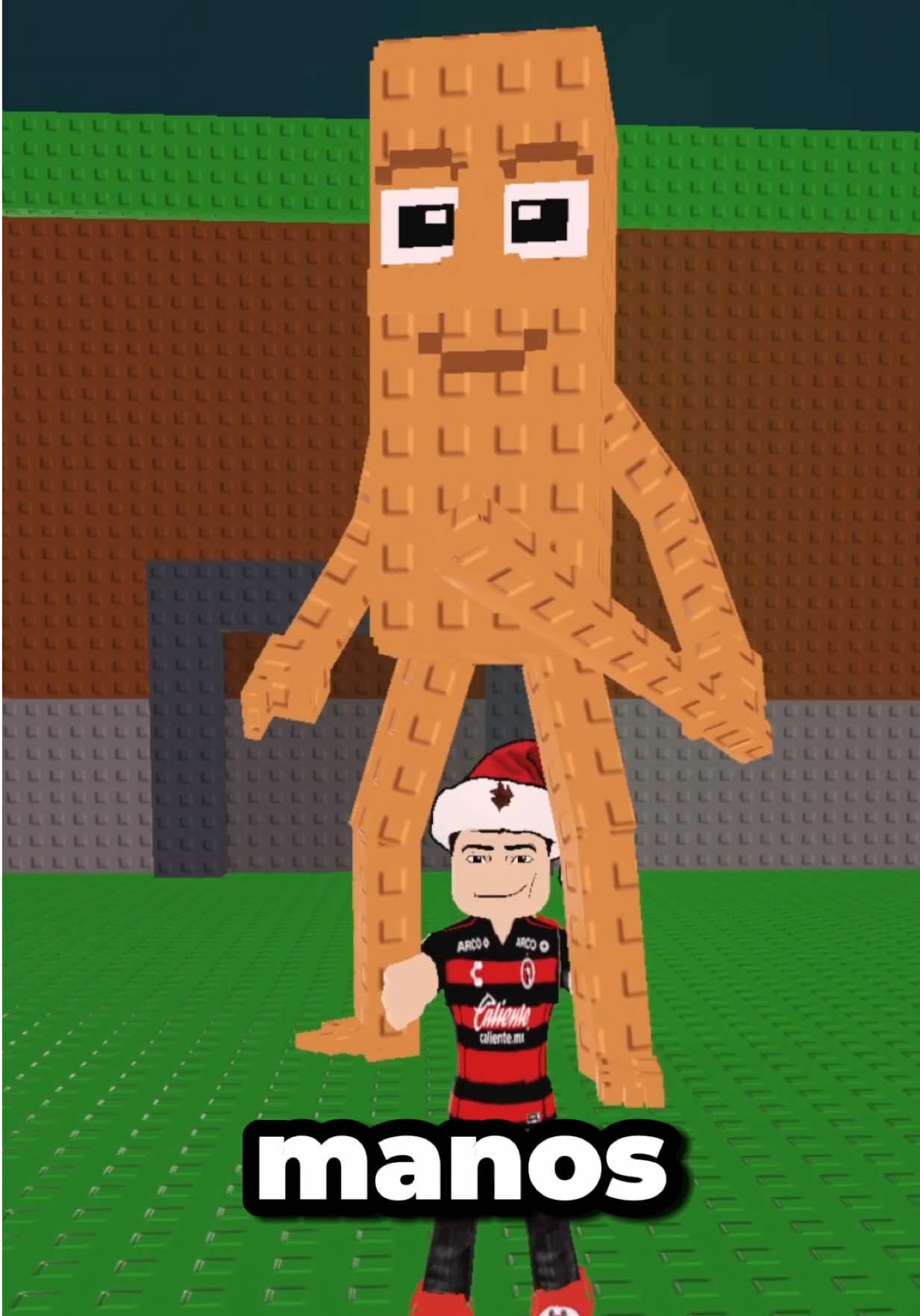 @monooaxaco