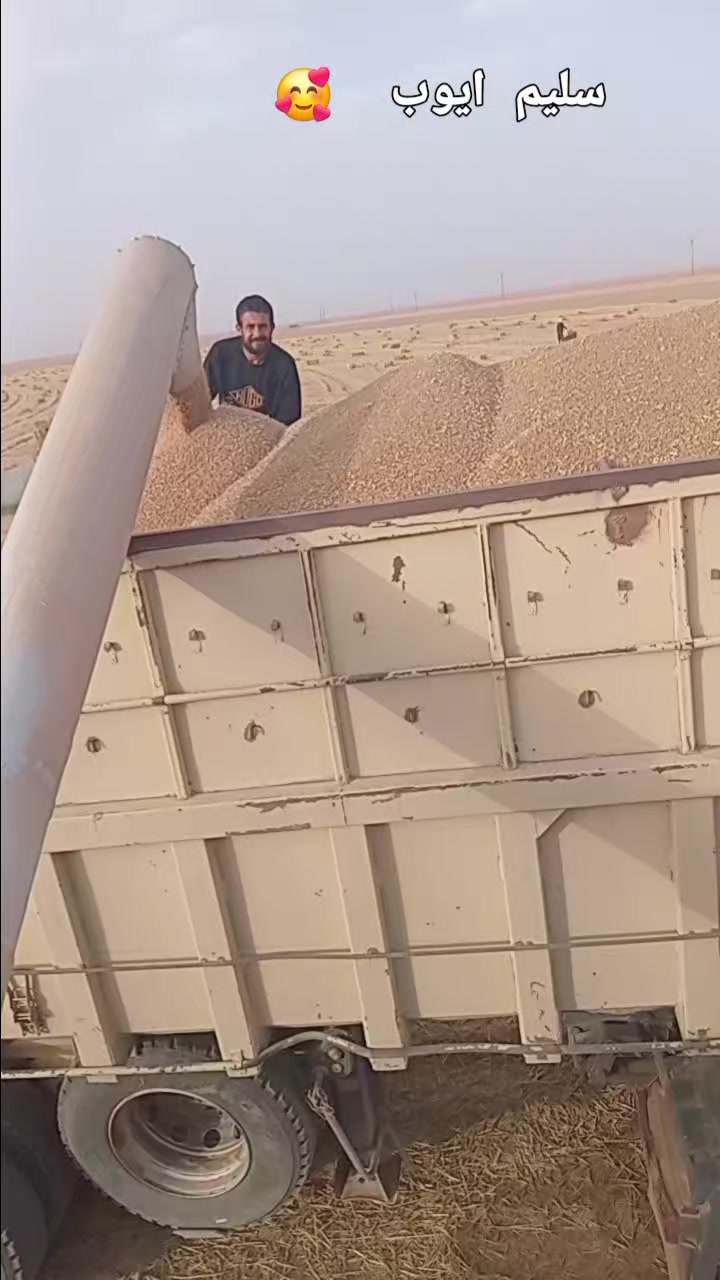 @Aziz saida 20