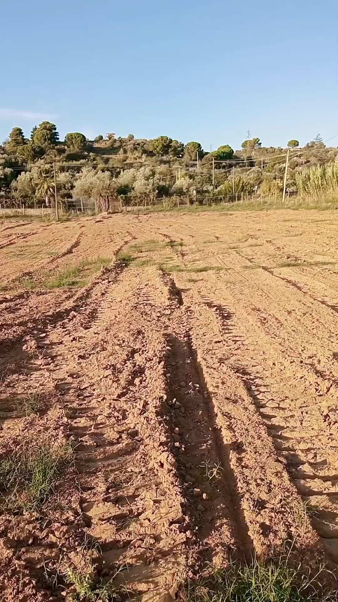 @Maria Agata