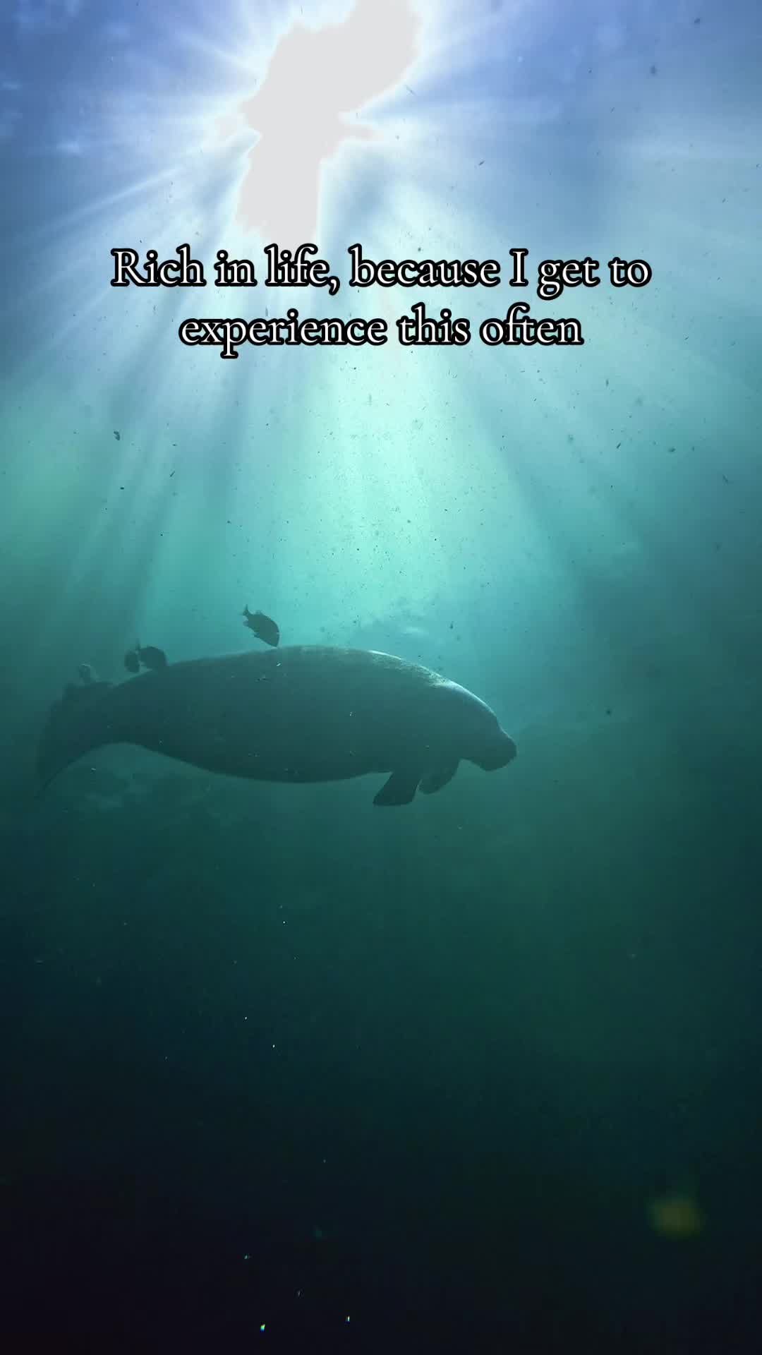 @KEᑎᗪᖇᗩᗩ