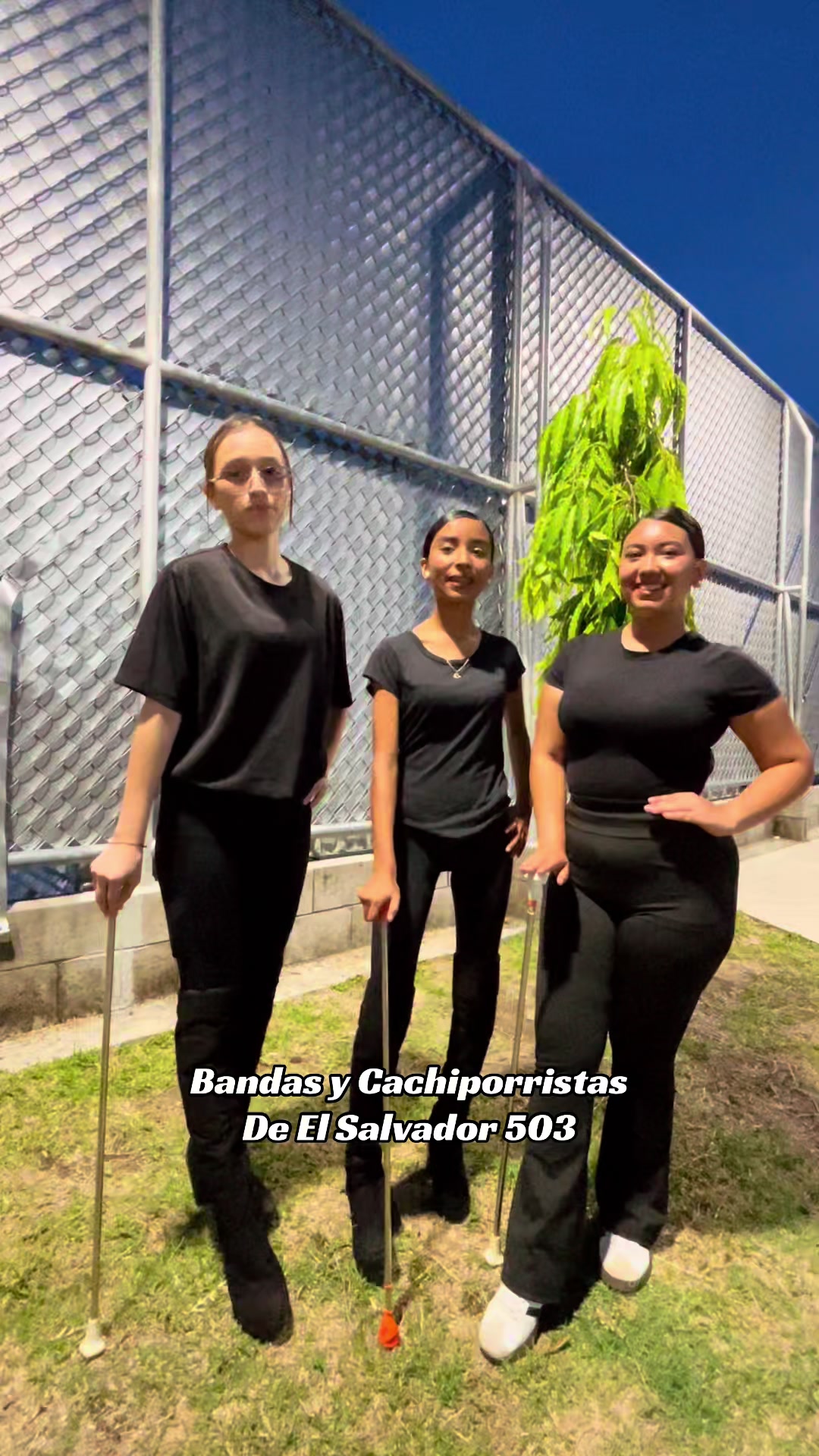 @Bandas y Cachiporristas Sv 503