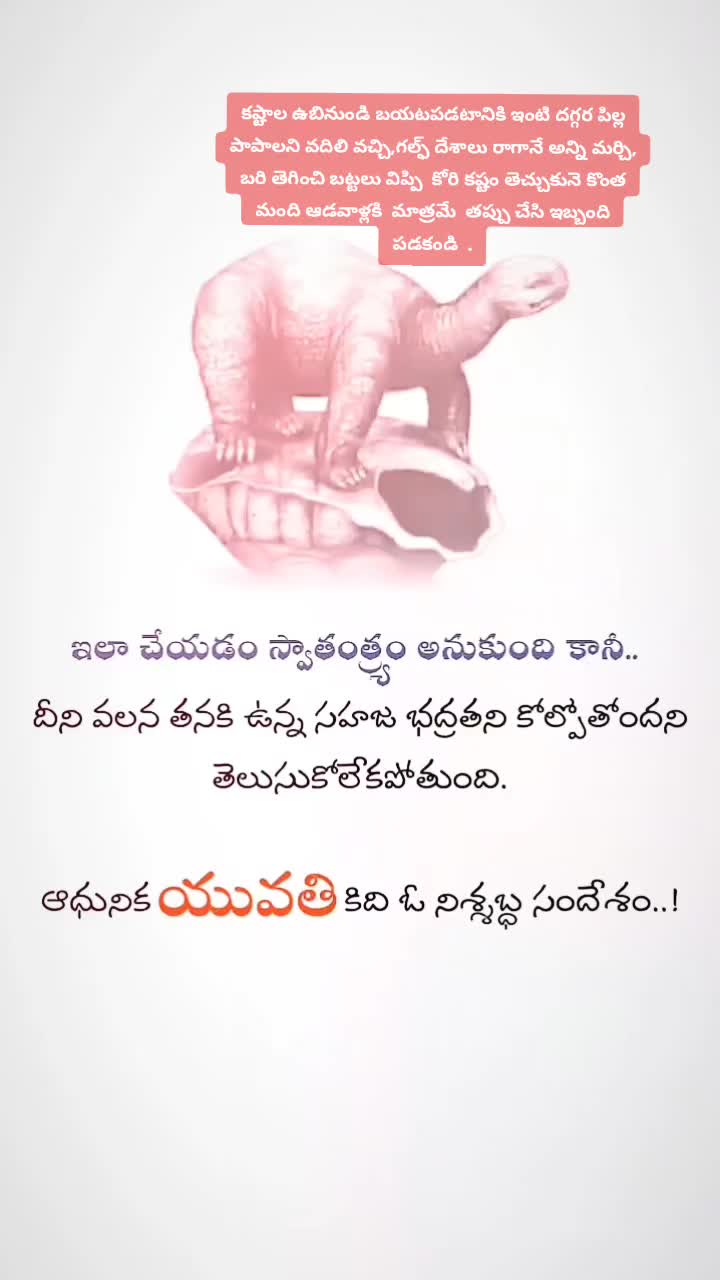 @సీమారాజా