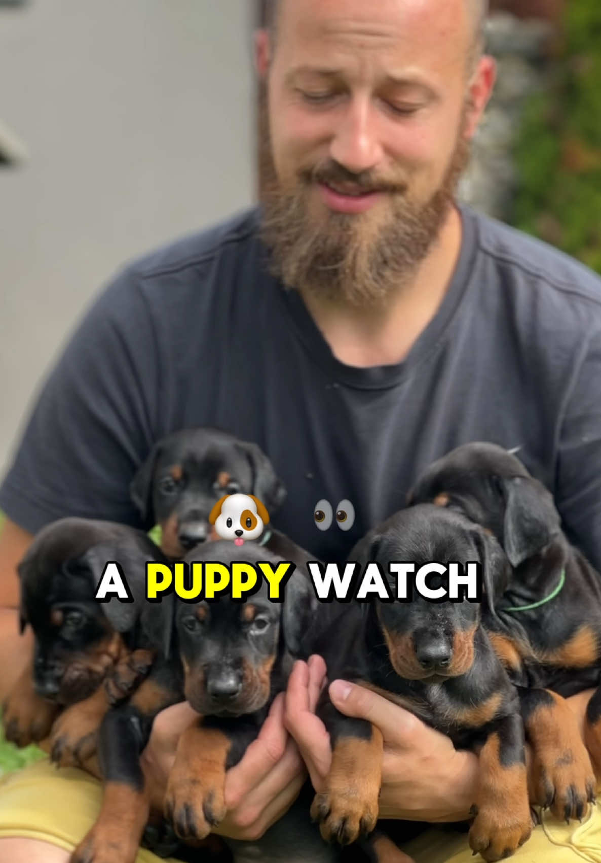 @GRAREVA dobermanns