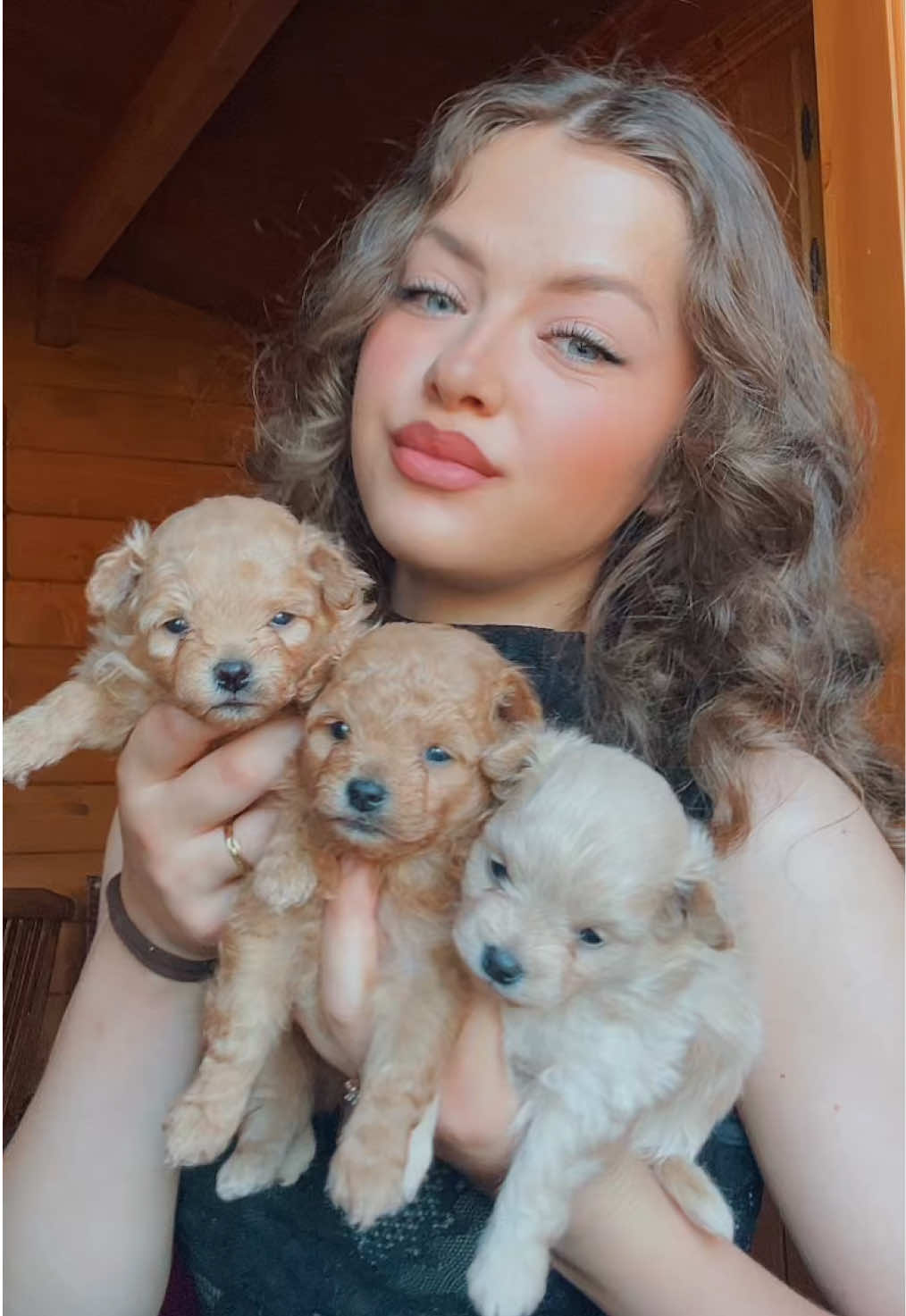 @Adina Dumitriu