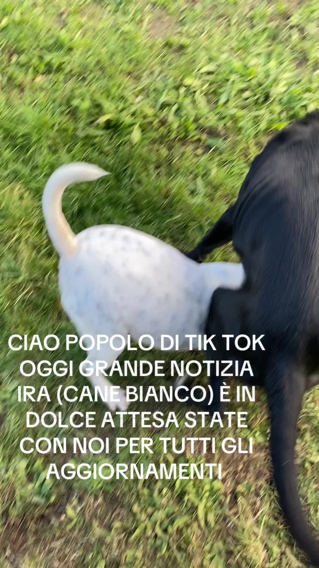 @Ilaria Urbani