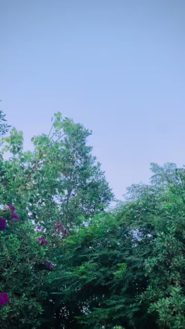 @👑فانی لاڈلا شکرگڑھ 🥷