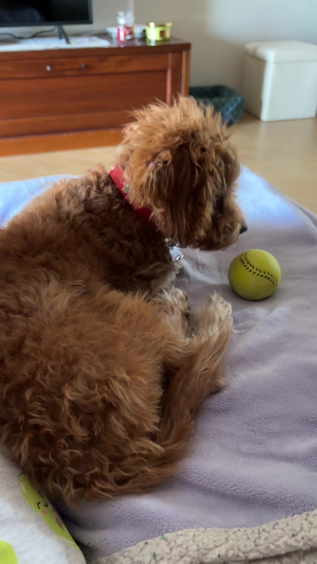 @Claudia Marrone