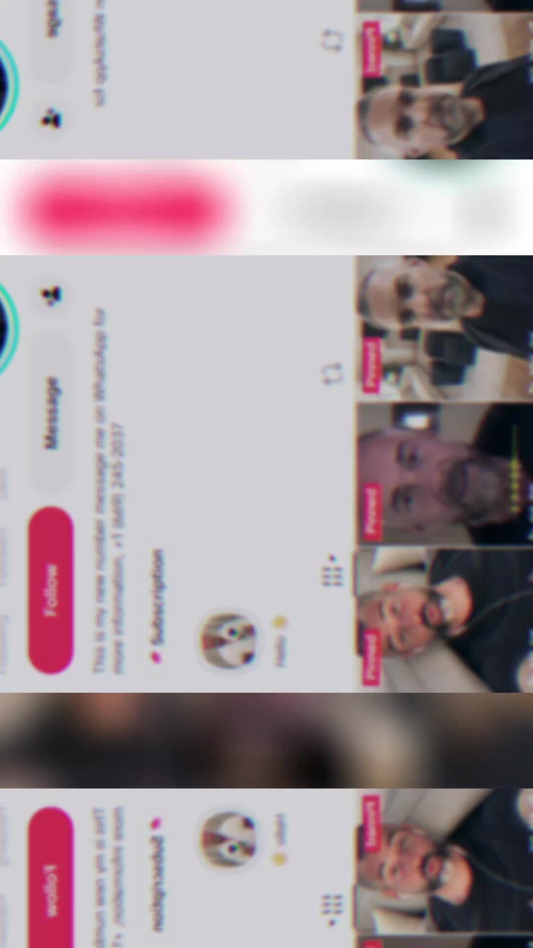 @wolfbait_2