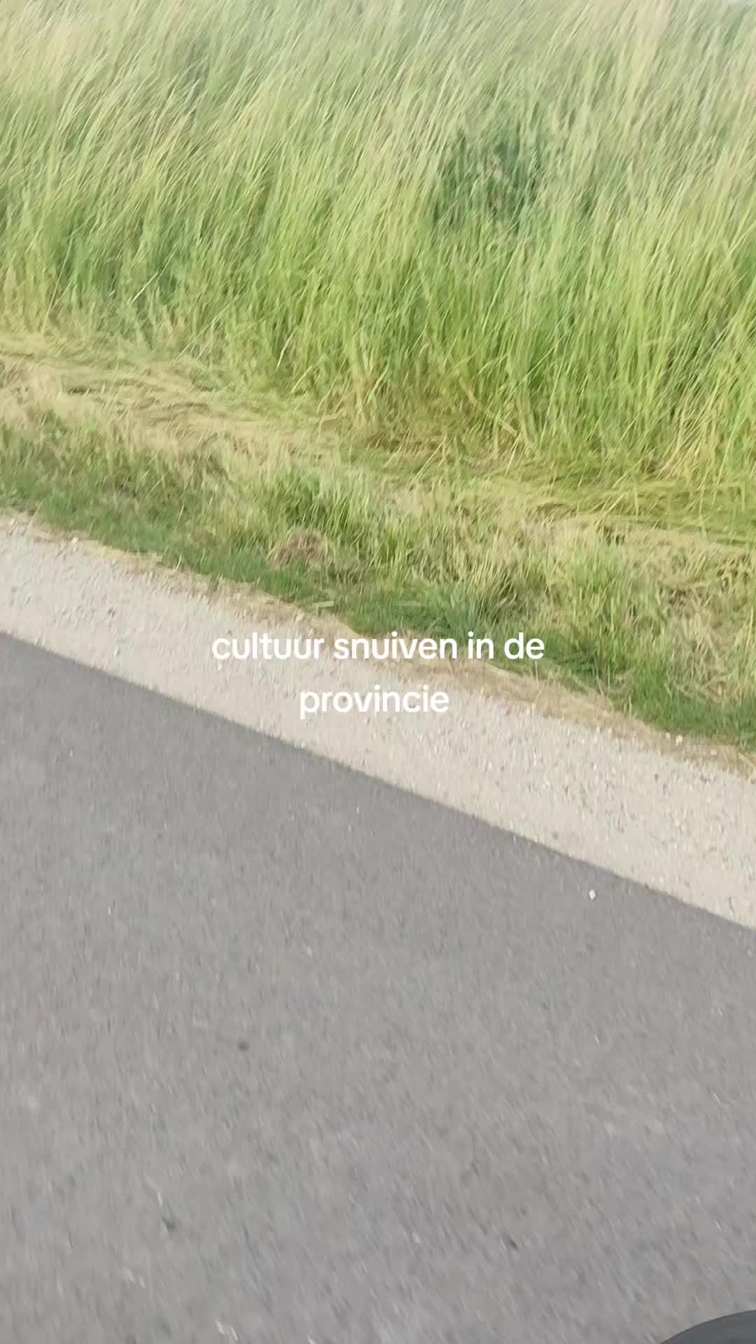 @吃阴道⁷