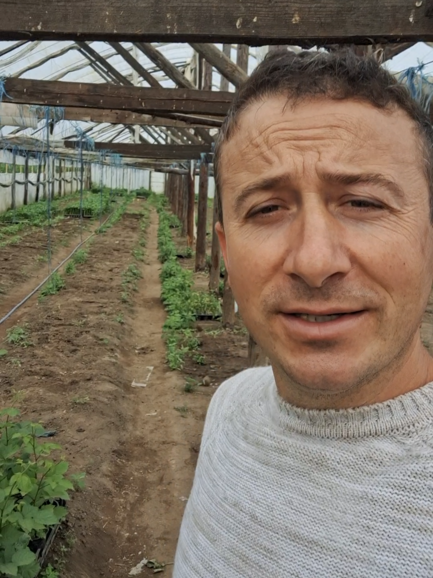 @Gradina Olteanului Enciu Doru