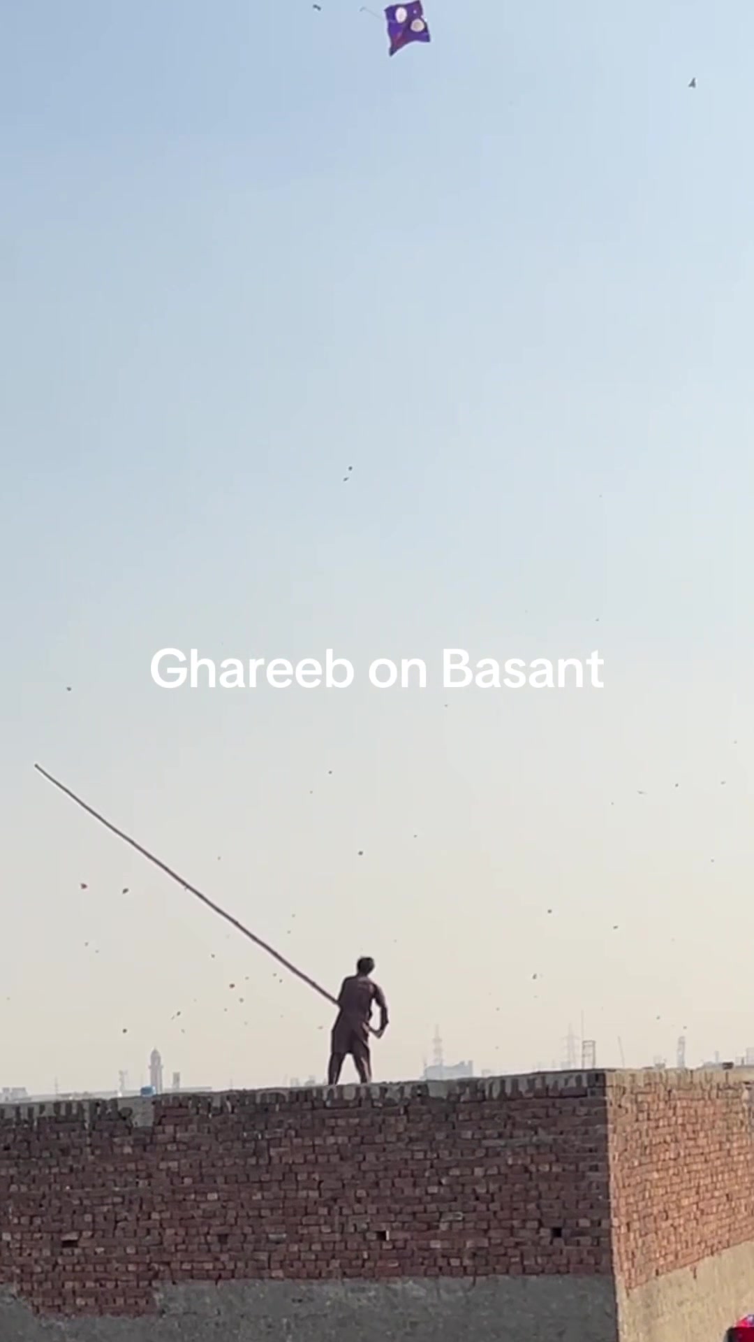 @Tarzan Kites