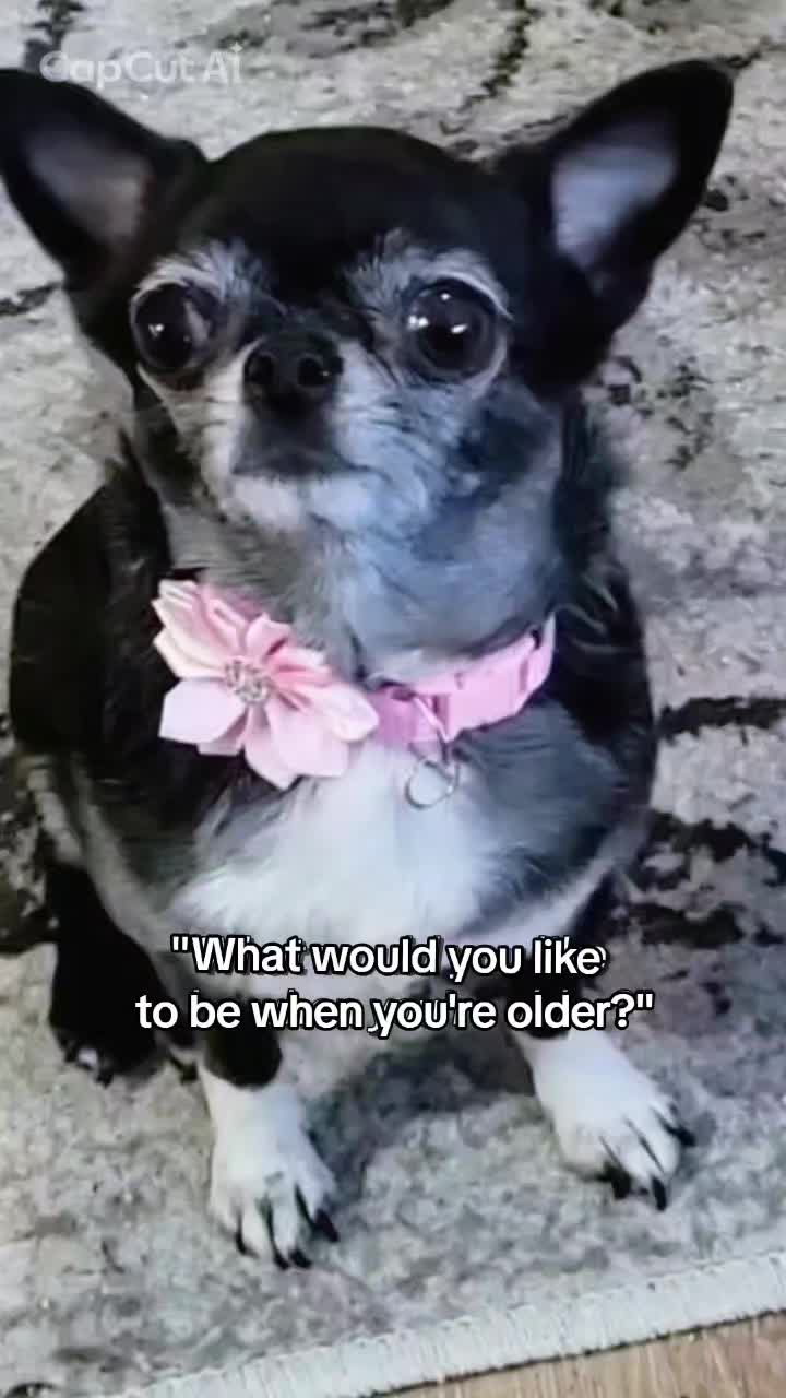 @💖💖maijumamma 2💖💖