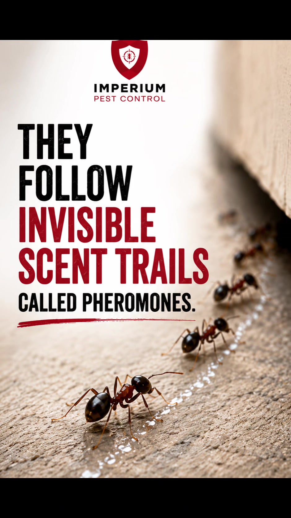 @Imperium Pest Control