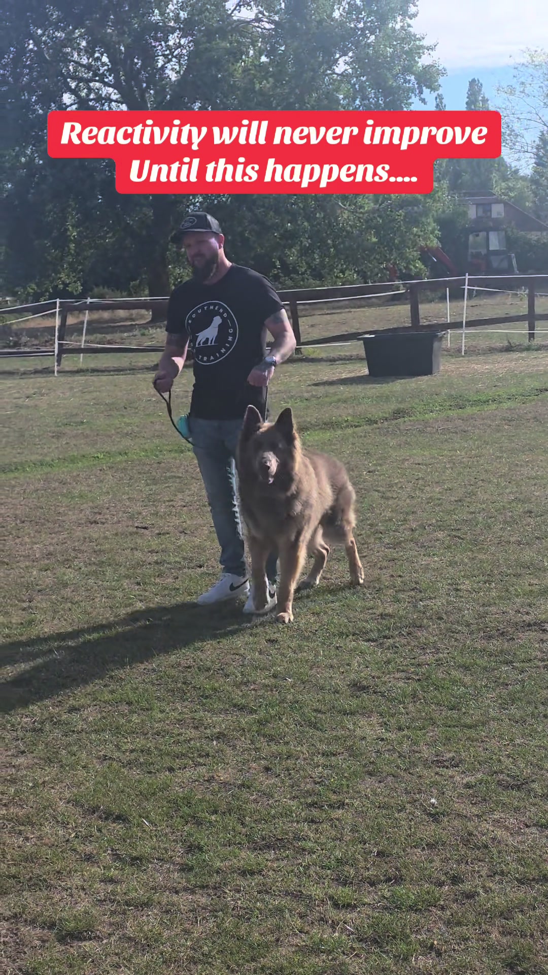@SouthendDogTraining