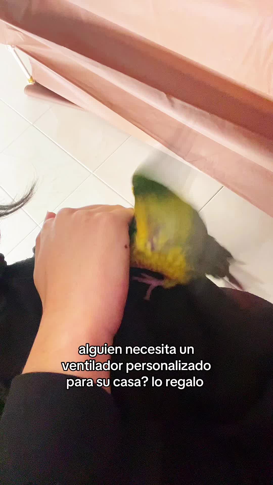 @Carla Basso
