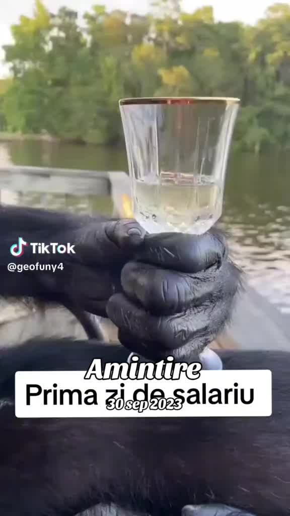 @Umorul e drogul