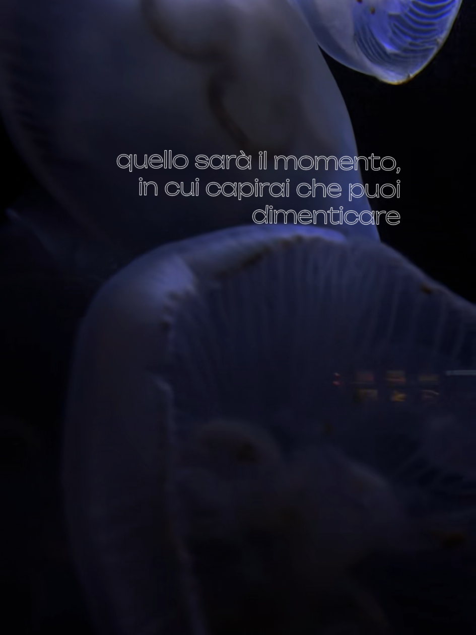 @tuttotrannete
