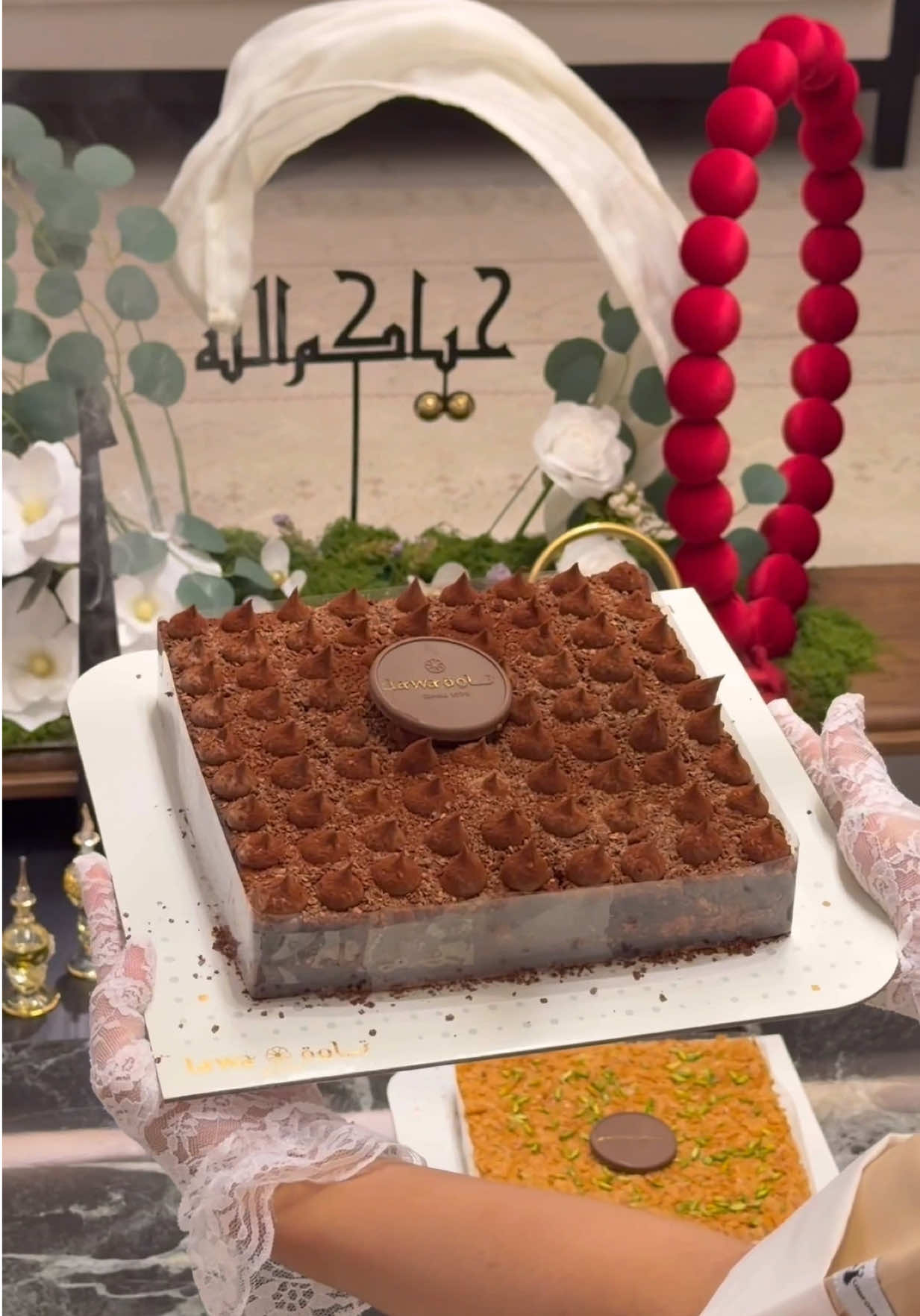 @امل القعيّاني🕊️مرخصة اعلامياً
