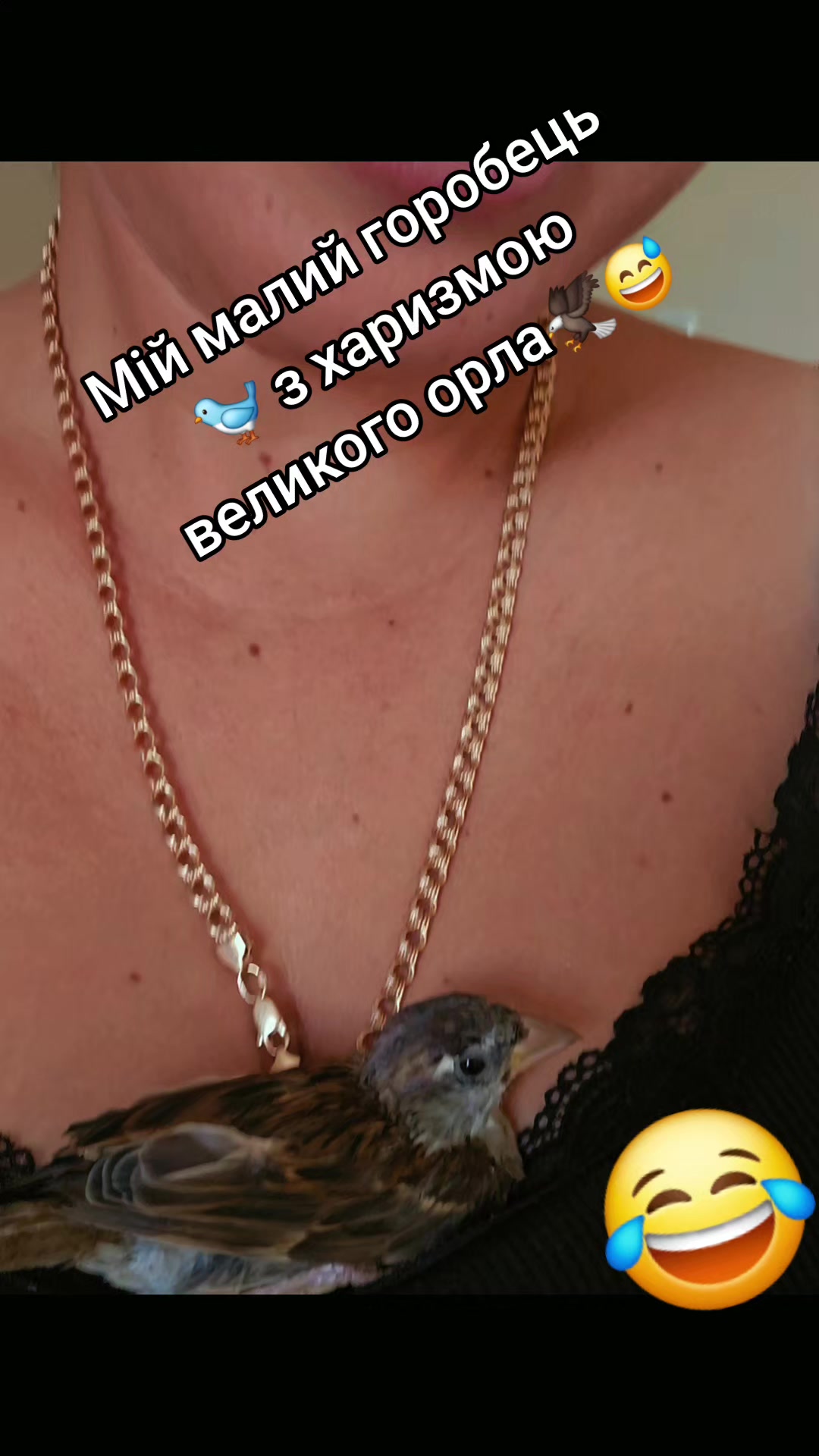 @🇺🇦🇬🇷