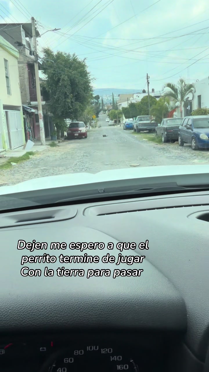 @Andrea Banda