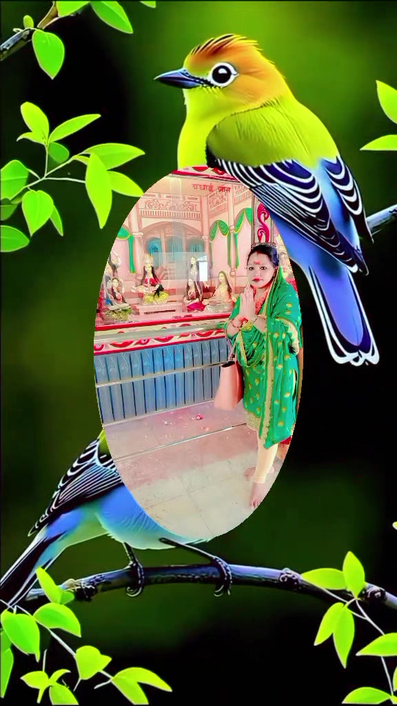 @aama ke kanxi xori
