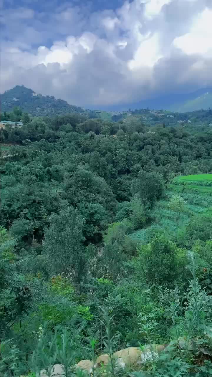 @FaZaL WaHaB 50
