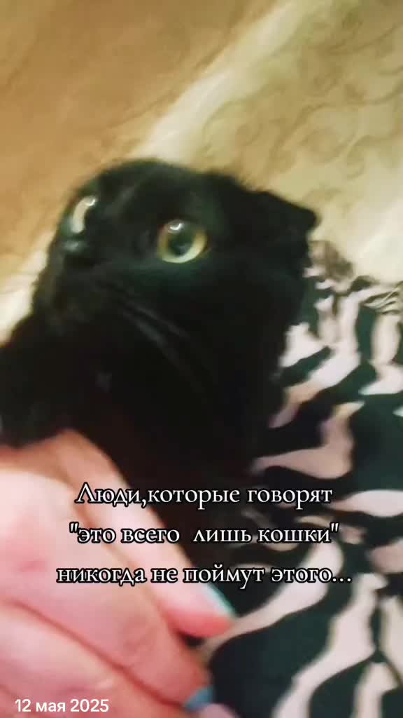 @ИрА😹Эля🐾🐾 ✔