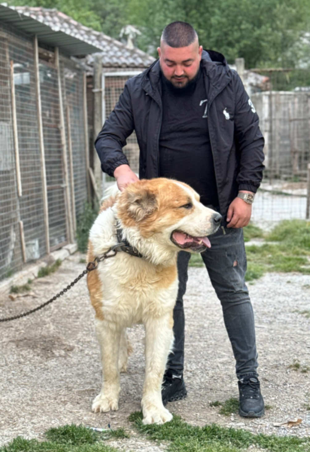 @varnaj lloka kazakistan shkup
