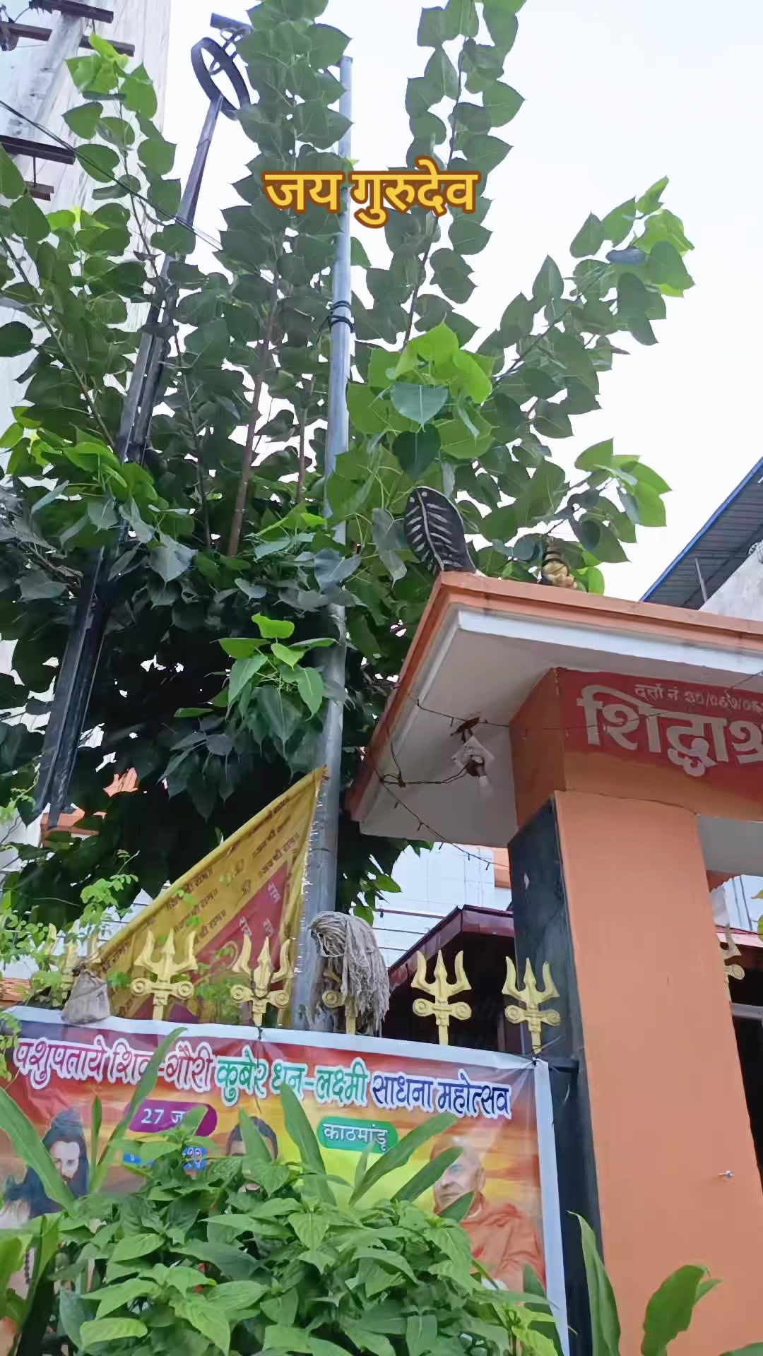 @ramchandralohani63