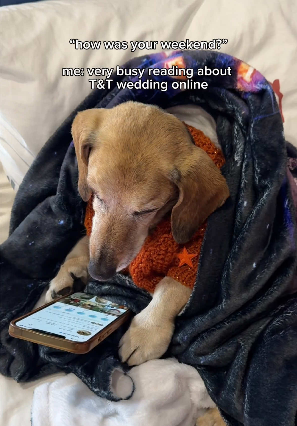 @Lucas The Dog