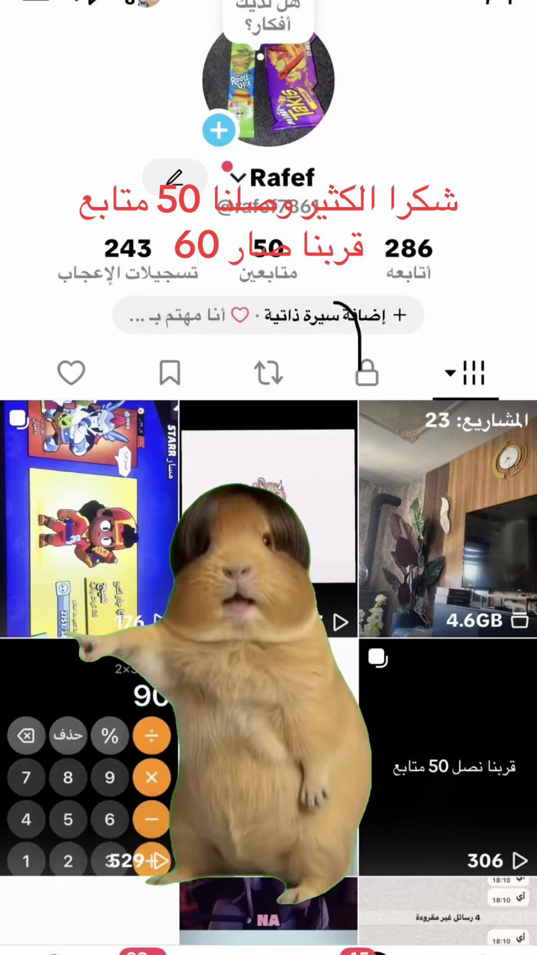 @Rafef