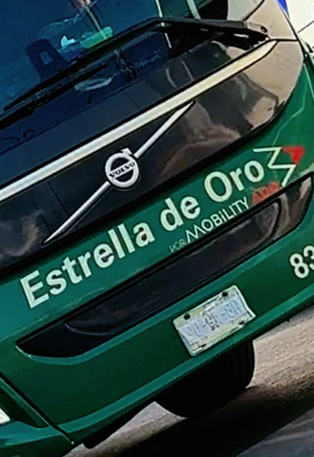 @STEREO&bull;BUS