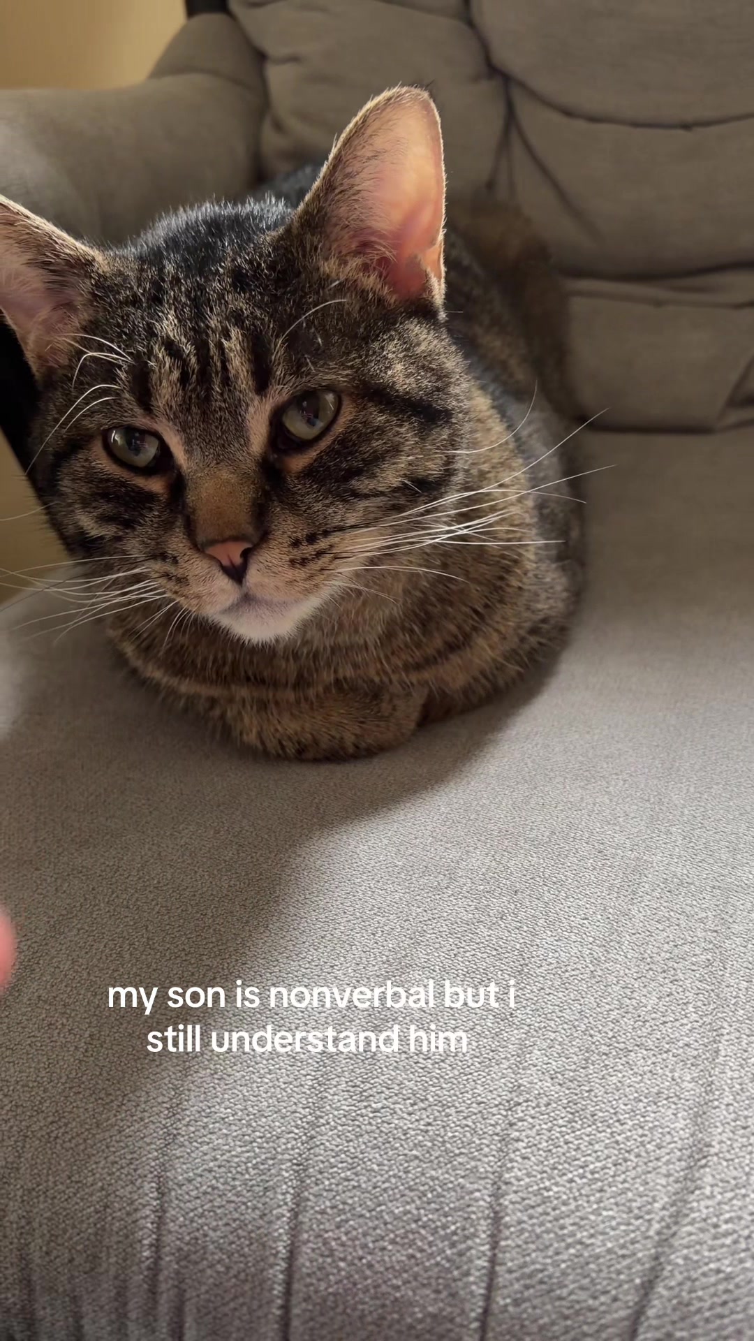 @l y n n e